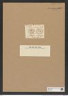 Asterolampra aemulans Grev. (de-Toni-Nr.: Genus 235, Species 5656) Zeichnungen Sammlung Grunow Nr. 9641 (NHMW-BOT-W0379572)